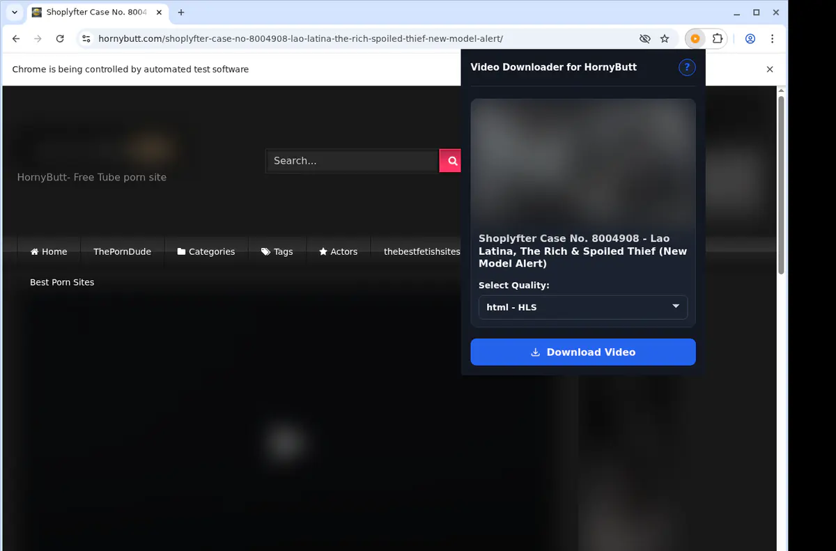 Hornybutt Video Downloader browser extension screenshot 3